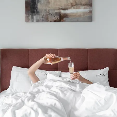 Scala Center With Parking By Lion Apartament *